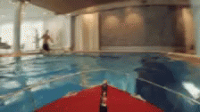 Ferret On A Boat GIF
