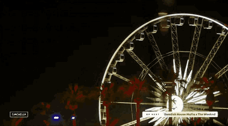 Ferris Wheel Swedish House Mafia GIF