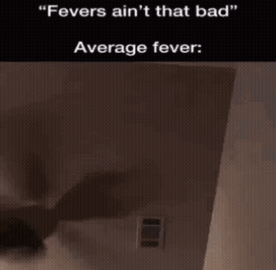 Fevers Ain't That Bad Meme GIF