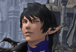 FFXIV Aymeric Eyebrow Raise GIF