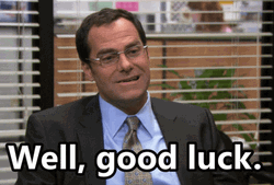 Fictional Character David Wallace Well Good Luck GIF