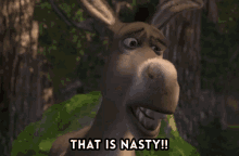 Fictional Character Donkey Eww That Is Nasty GIF