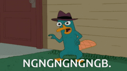 Fictional Character Perry The Platypus Teasing Ngb GIF