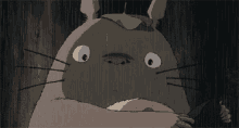 Fictional Character Totoro Blinking Eyes Reaction GIF