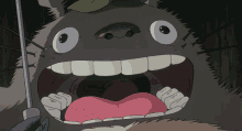 Fictional Character Totoro Shocked Reaction GIF