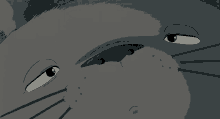 Fictional Character Totoro Slowly Opening Its Eyes GIF