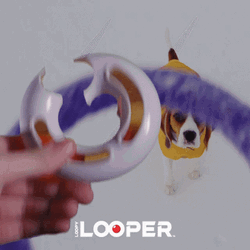 Fidget Toy Loopy Looper Dog