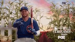 Field Of Dreams Baseball Chicago Cubs GIF