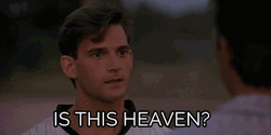 Field Of Dreams Baseball Heaven GIF