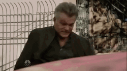 Field Of Dreams Ray Liotta GIF