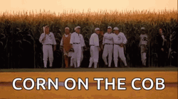 Field Of Dreams Ray Liotta GIF