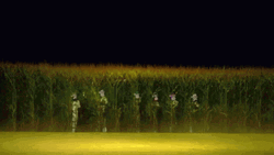 Field Of Dreams They Will Come GIF