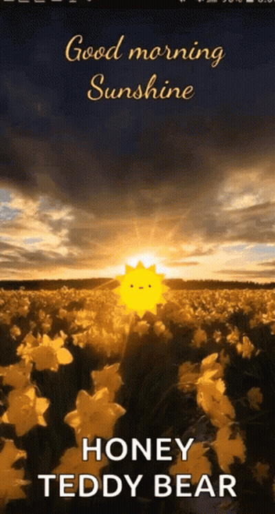 Field Of Flowers Good Morning Sunshine Honey Teddy Bear GIF