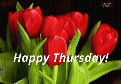 Field Of Flowers Saying Happy Thursday GIF