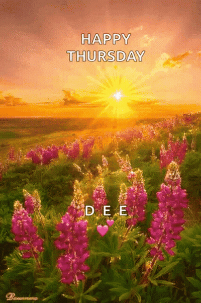 Field Of Flowers Saying Happy Thursday GIF