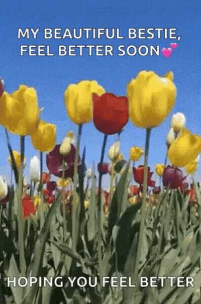 Field Of Flowers Saying My Beautiful Bestie Feel Better Soon GIF
