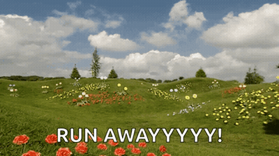 Field Of Flowers Saying Run Away YYY GIF