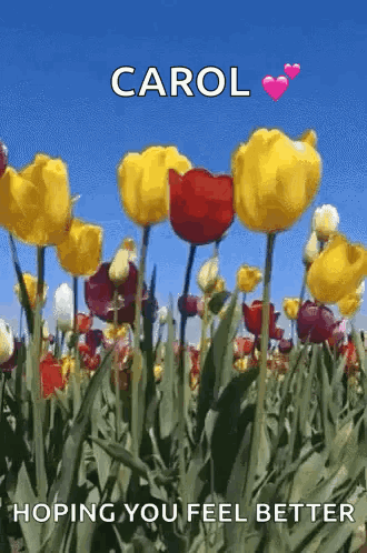 Field Of Flowers With Carol Hoping You Feel Better GIF