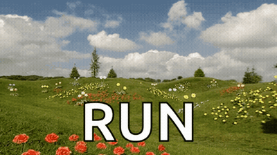 Field Of Flowers With Run GIF