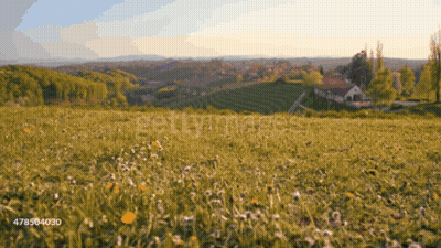 Field Of Grass And Flowers With Getimages GIF