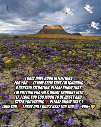 Field Of Purple And Yellow Flowers GIF