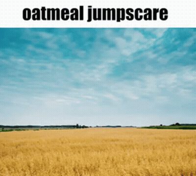 Field With Oatmeal Jumpscare GIF