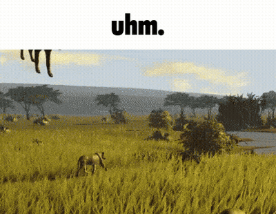 Field With Uhm Written On Bottom GIF
