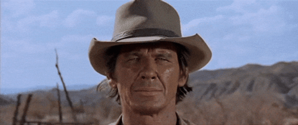 Fierce Stare Down Charles Bronson GIF