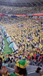 FIFA World Cup Audience Perspective GIF