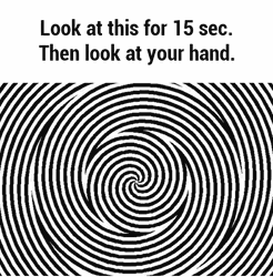 Fifteen Sec Optical Illusion GIF