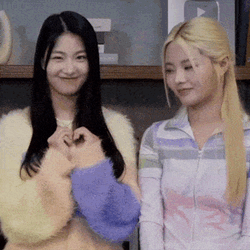Fifty Fifty Fiftyfifty GIF