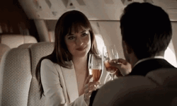 Fifty Shades Of Grey Cheers Private Jet GIF