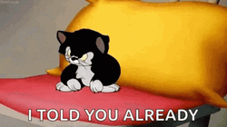 Figaro I Told You Already GIF