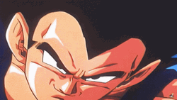 Fight Scene Goku Vs Vegeta GIF