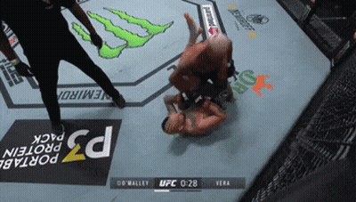 Fighter Being Pinned Down In UFC Fight GIF