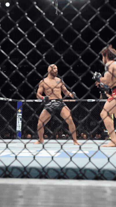 Fighter In Cage With UFC GIF