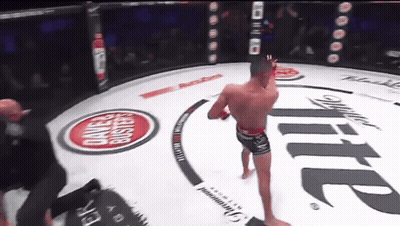 Fighter In Ring With Miller Lite Advertisement GIF