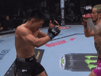 Fighter In UFC Gloves Punching Another Fighter GIF
