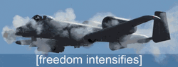 Fighter Jet Freedom Intensifies GIF
