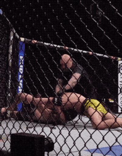 Fighter Lying In Cage With Bud Light GIF