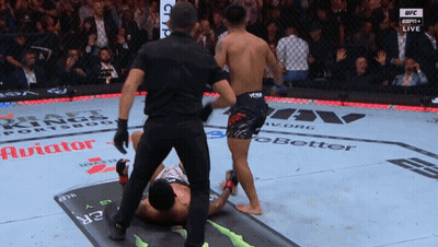Fighter Lying On Ground Referee Standing GIF
