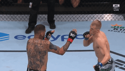 Fighter With Gloves Number 36 GIF