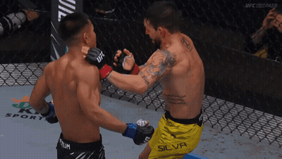 Fighters Fighting In Cage Silva Shorts GIF