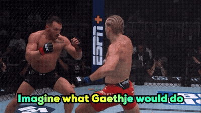 Fighters In Cage Imagine What Gaethje Would Do GIF