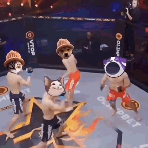 Fighters In Ring With Olympia Sign GIF