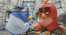 Fighting Angry Birds Movie GIF