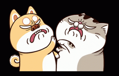 Fighting El Gato Meme GIF