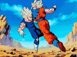 Fighting Goku Vs Vegeta GIF