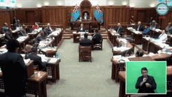 Fiji Parliament Selai Adimaitoga GIF