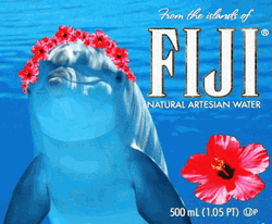 Fiji Water Dolphin Art GIF